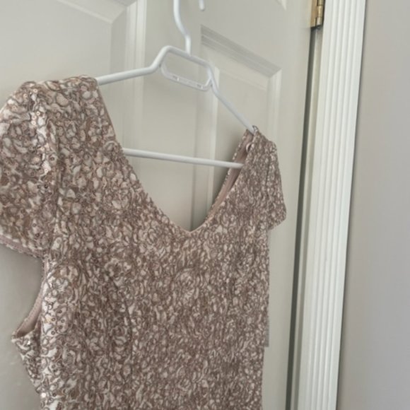 Gorgeous Alex Evening Dress Size 8 NWT - Picture 7 of 12